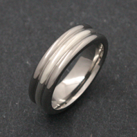 Titanium Ring - Silver Seti